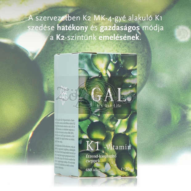 GAL K1-vitamin csepp 30ml